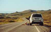 On the road, 3. march 2015