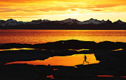 Hamarøy midnight run, 8. september 2017