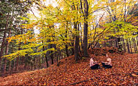 Splynutí s Přírodou, 7. březen 2015