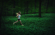 Forest run, 5. august 2017